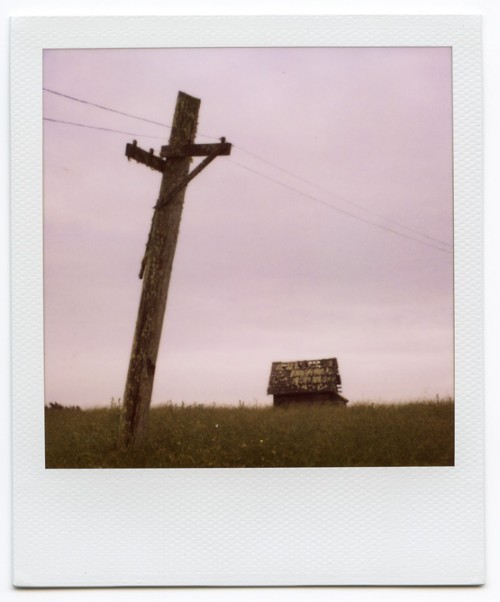 on a plain