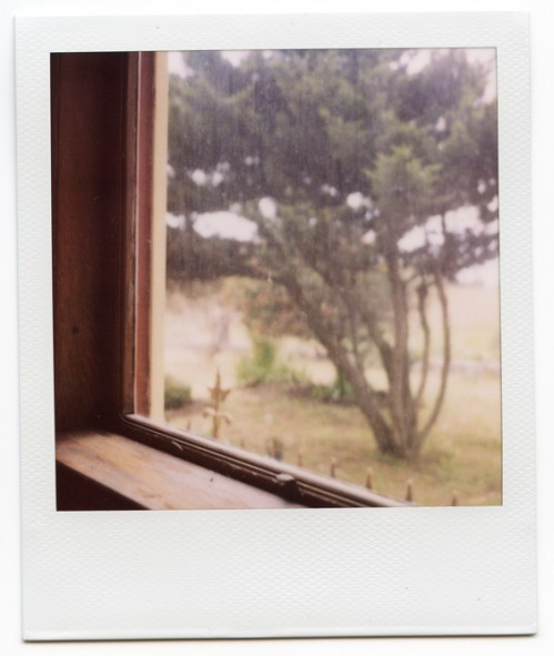 window